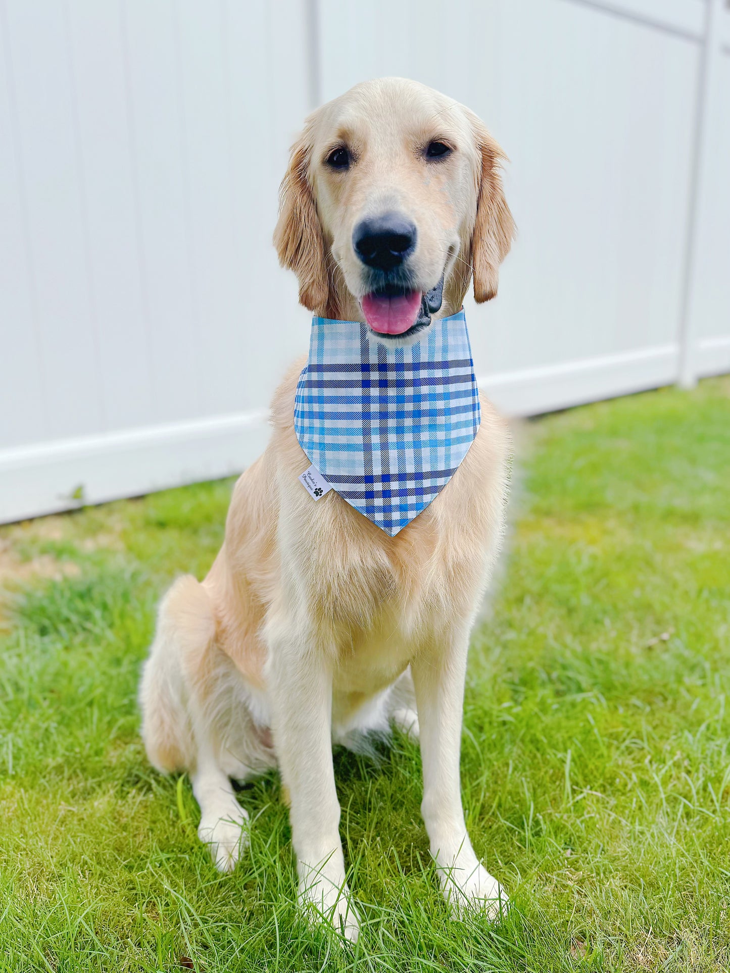 Super Mutt Bandana - Sky Blue