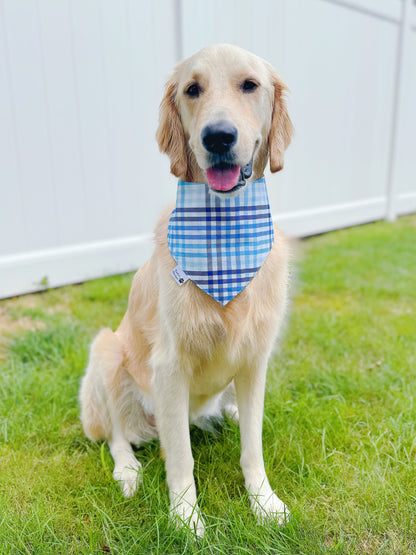 Super Mutt Bandana - Sky Blue