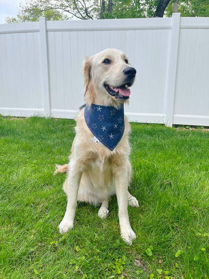 Turtles And Starfish Bandana