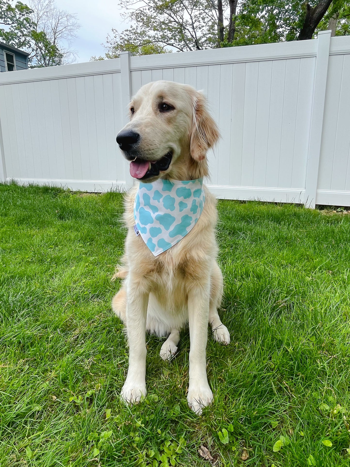 Cowboy And Blue Cow Print Bandana