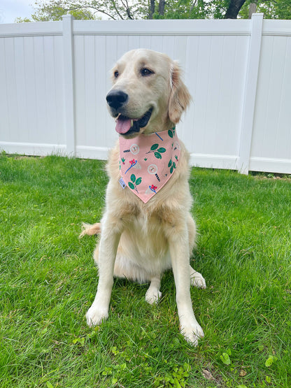 Spring Insects Bandana