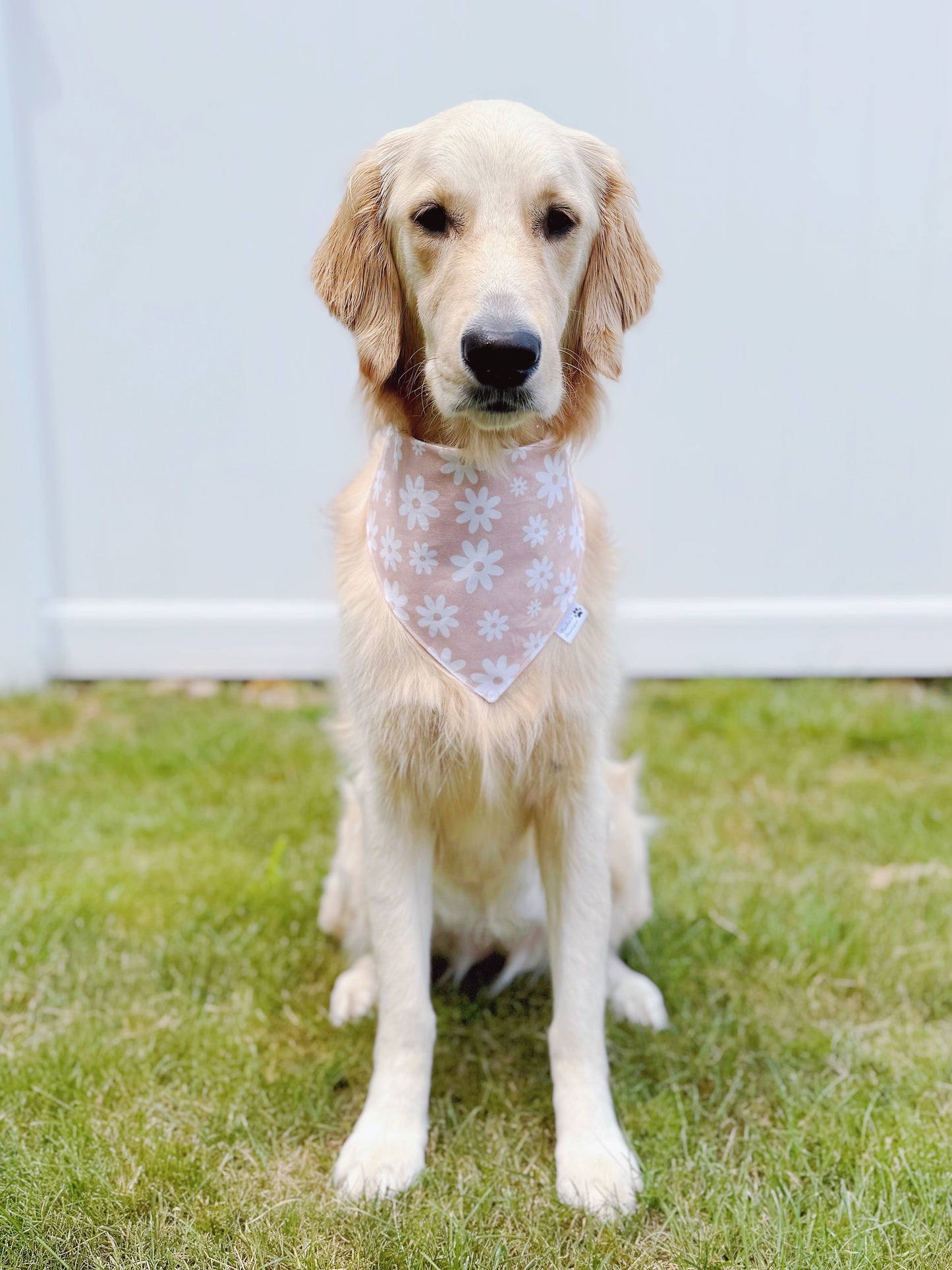 Neutral Florals Bandana