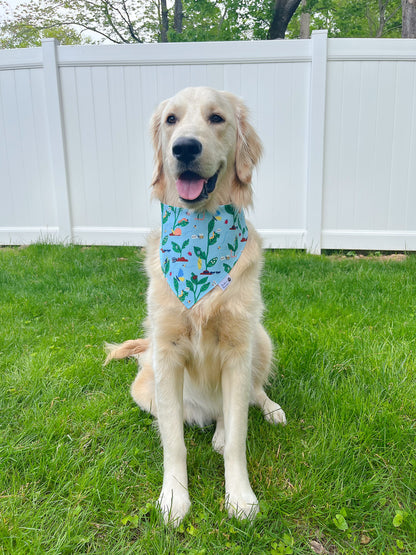 Spring Insects Bandana