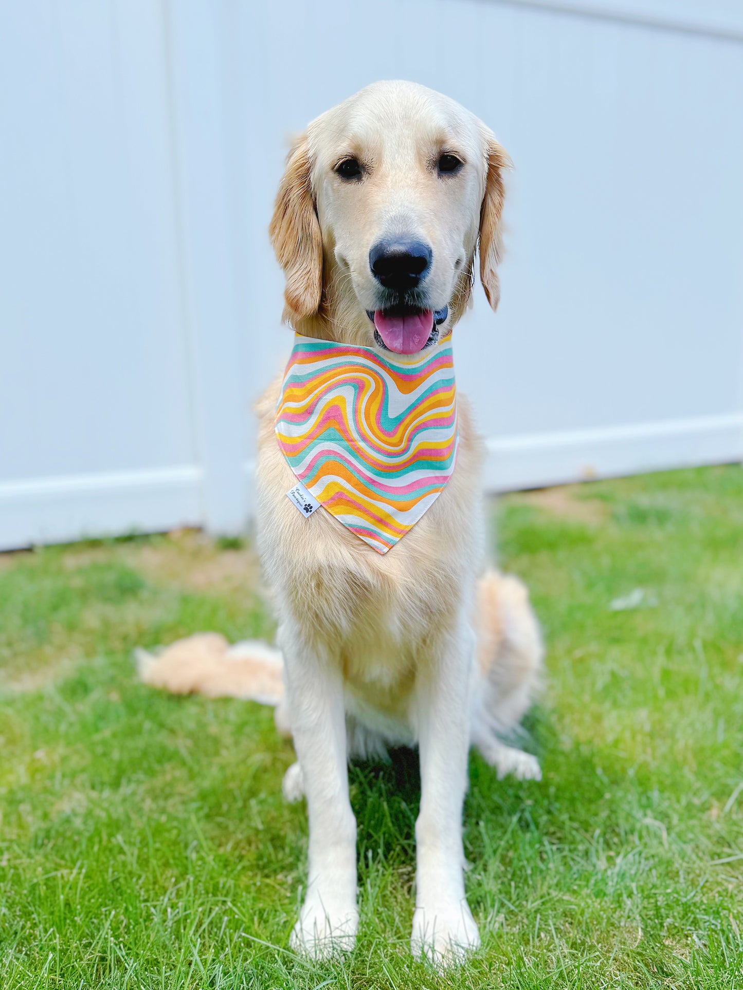 Boho Sunshine Bandana