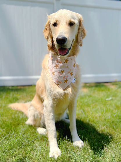 Neutral Stars and Moon Bandana