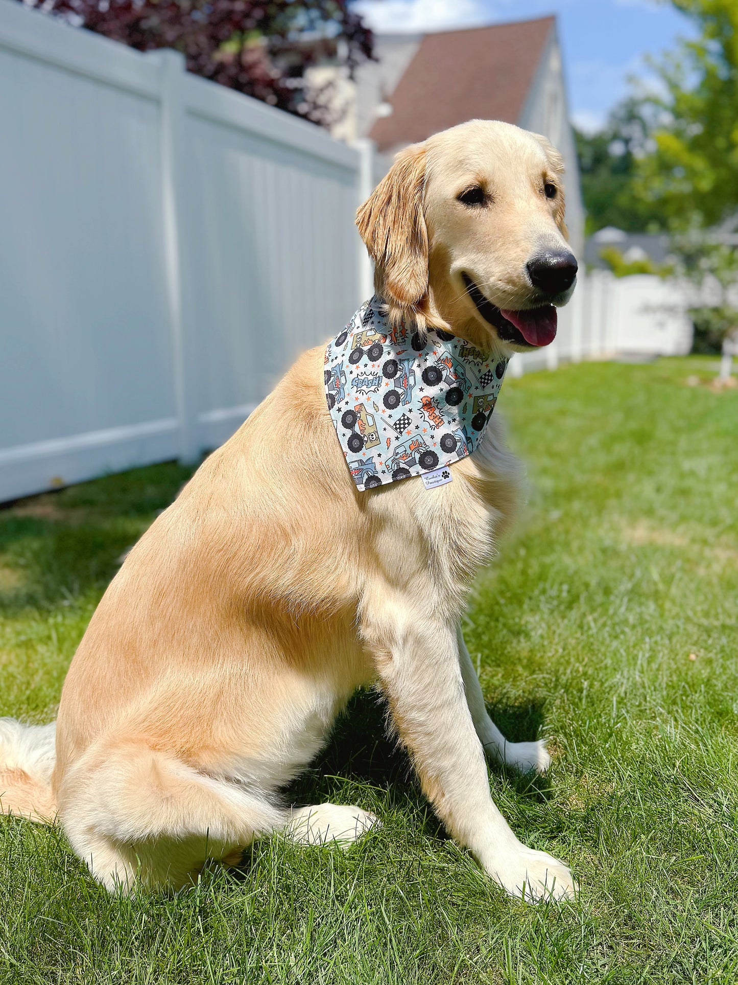 Monster Trucks Bandana