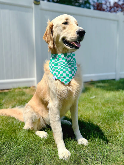 Monster Trucks Bandana