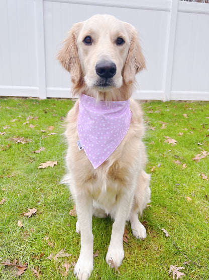 Birthday Girl Bandana - Purple