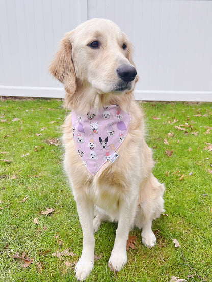 Birthday Pawty Puppies Bandana