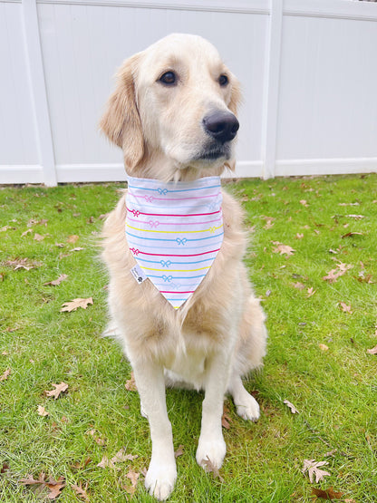 It's My Birthday Bandana