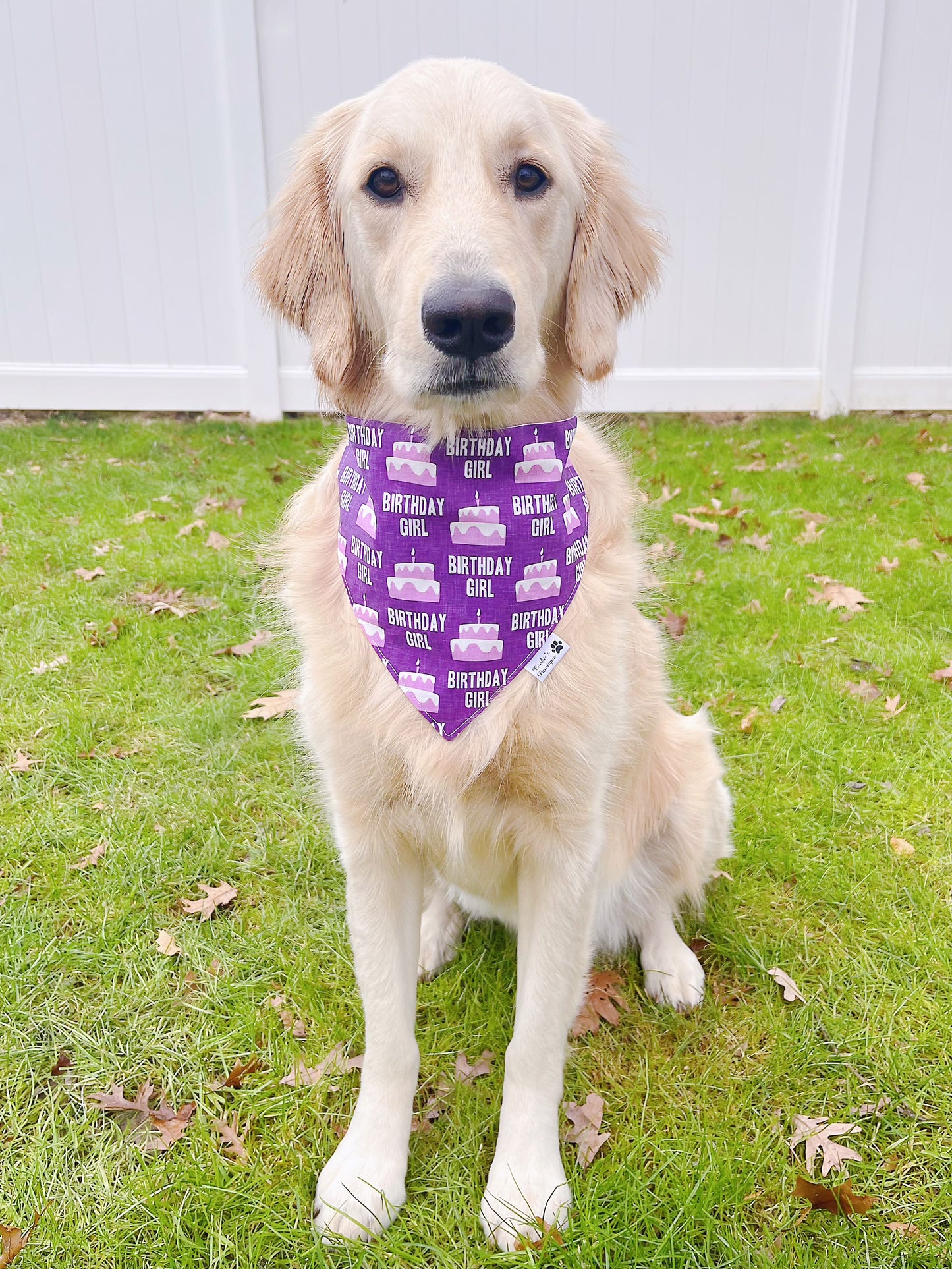 Birthday Girl Bandana - Purple