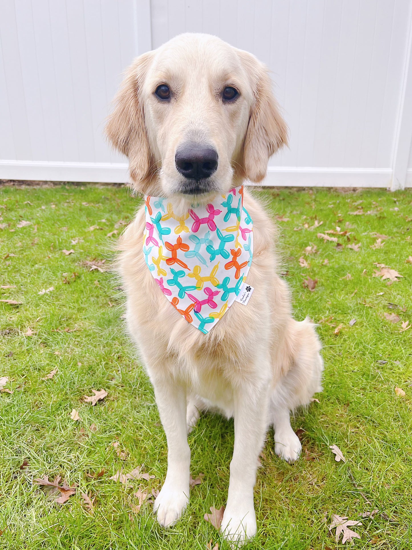 Dog Balloons Bandana