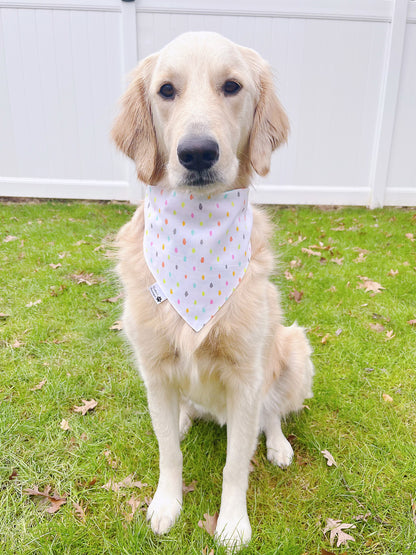 Dog Balloons Bandana