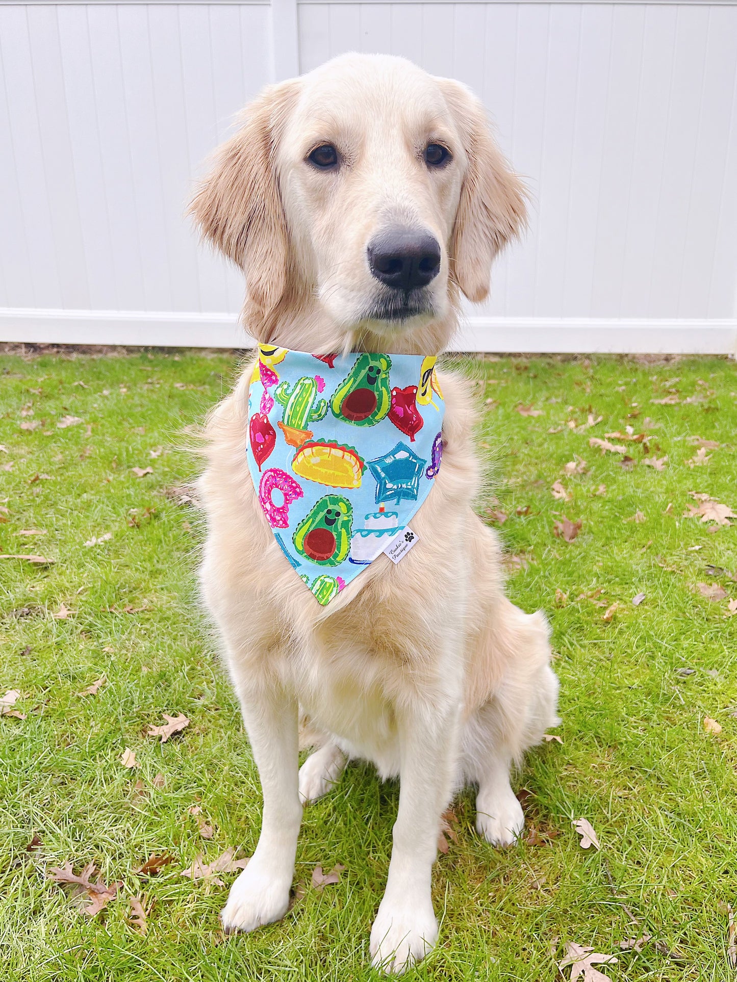 Party Balloons Bandana