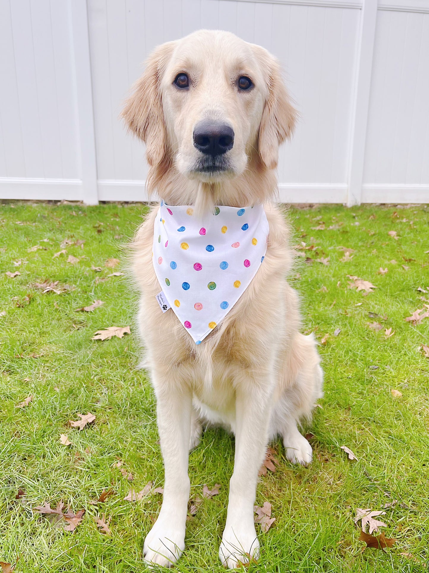 Party Balloons Bandana