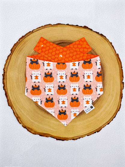 Pumpkin Cats Bandana