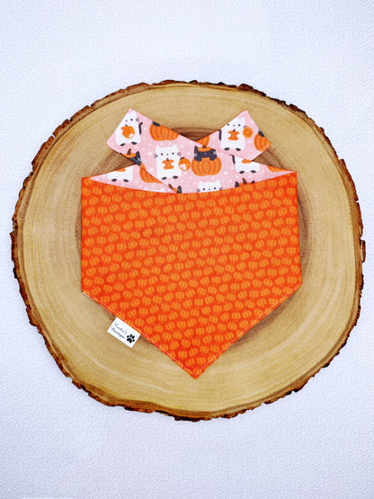 Pumpkin Cats Bandana