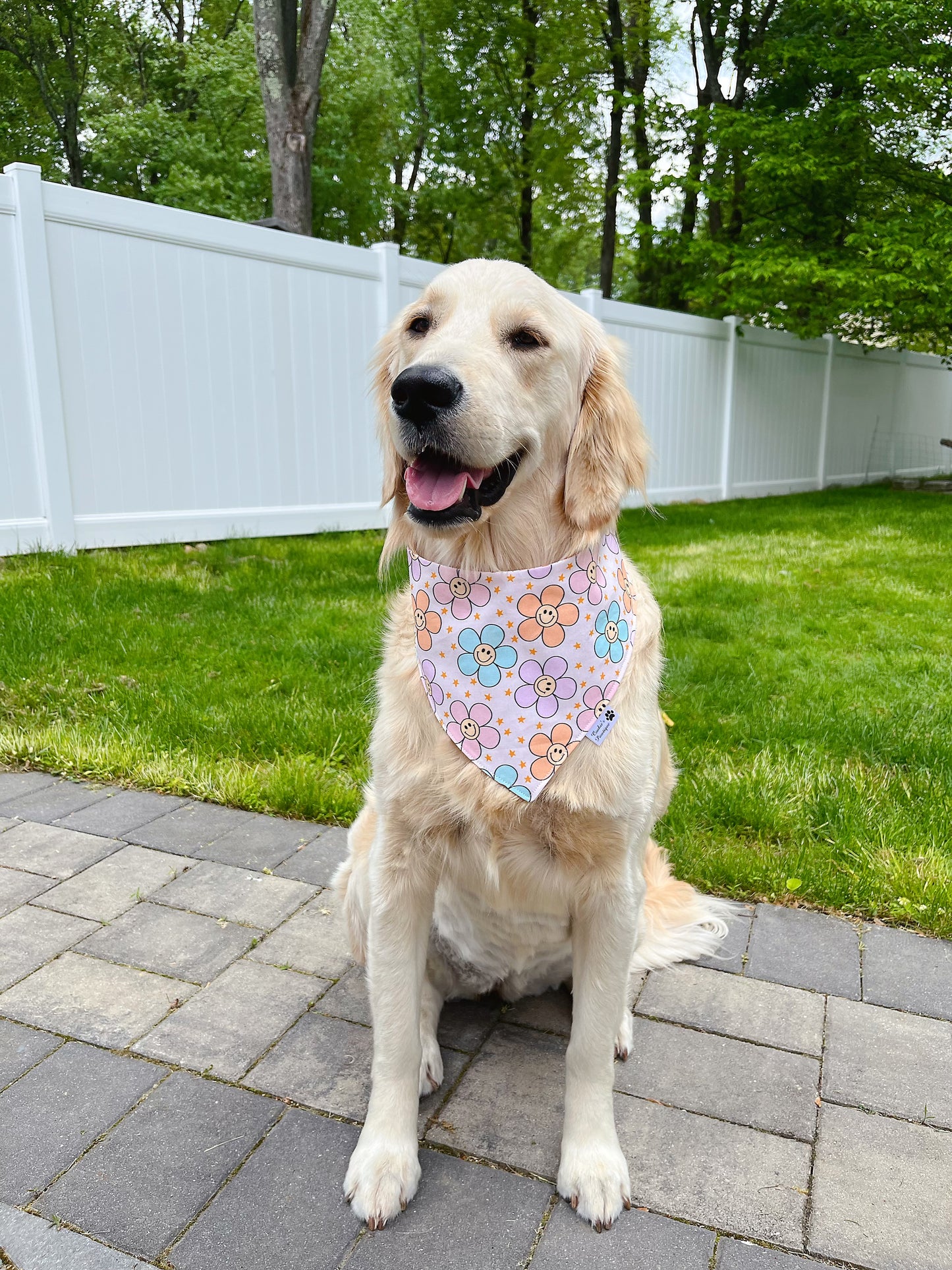 Happy Daisies And Groovy Roller Skates Bandana