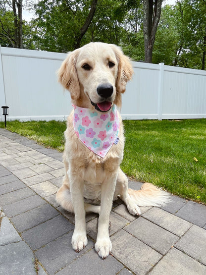 Pastel Daisies And Checkerboard Paws Bandana