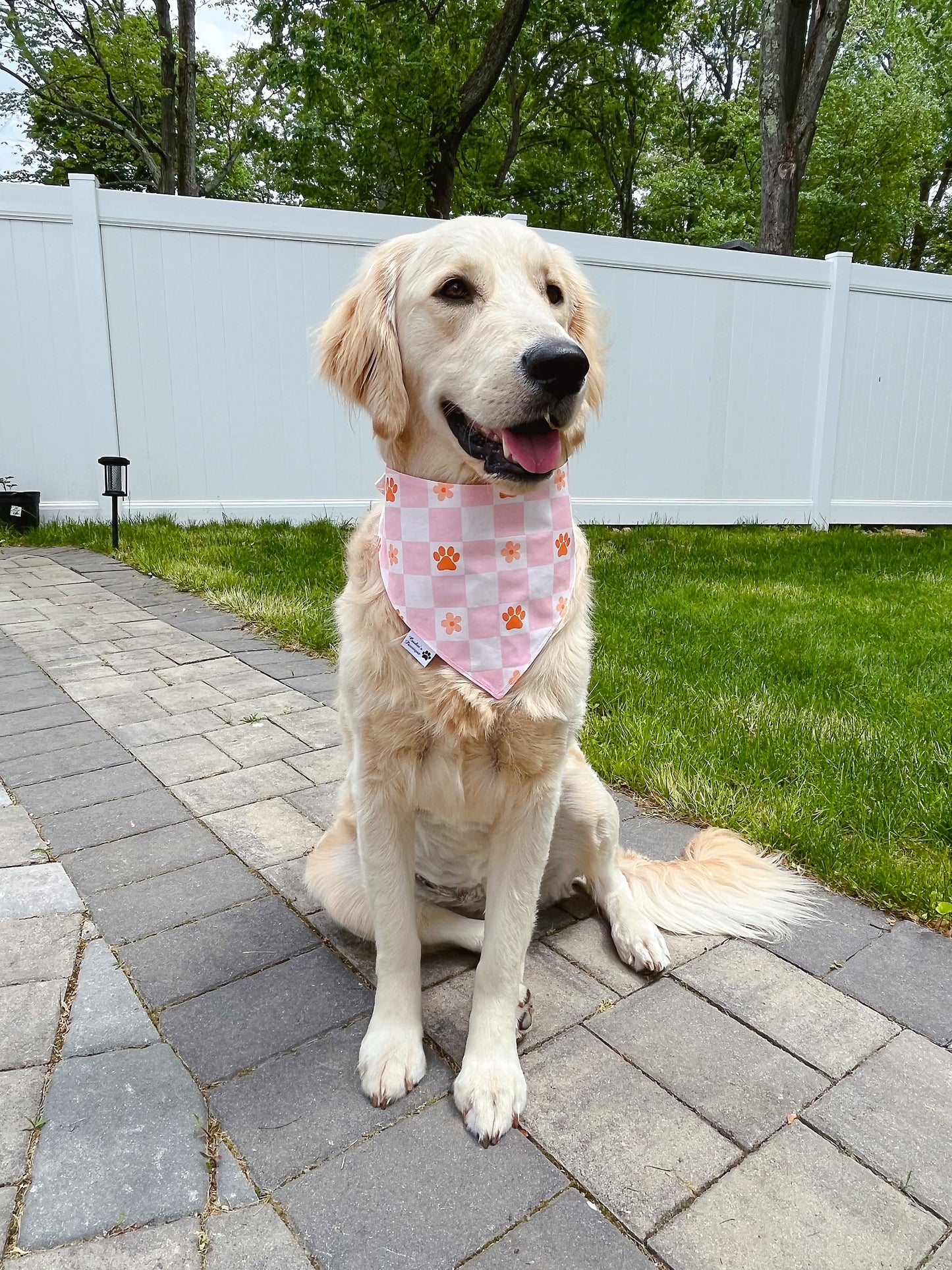 Pastel Daisies And Checkerboard Paws Bandana