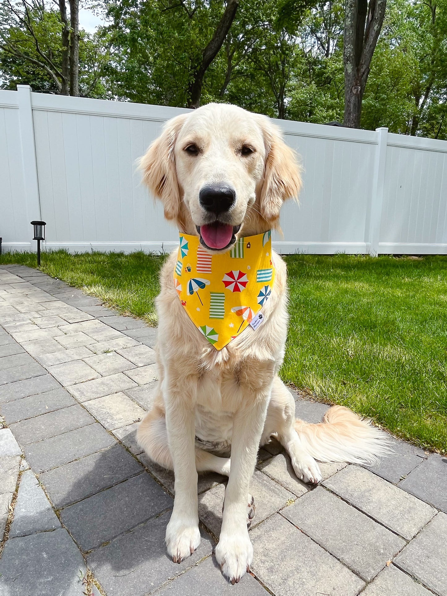 Colorful Summer Beach Bandana