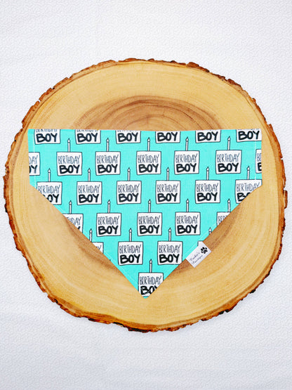 Birthday Boy Bandana - Teal