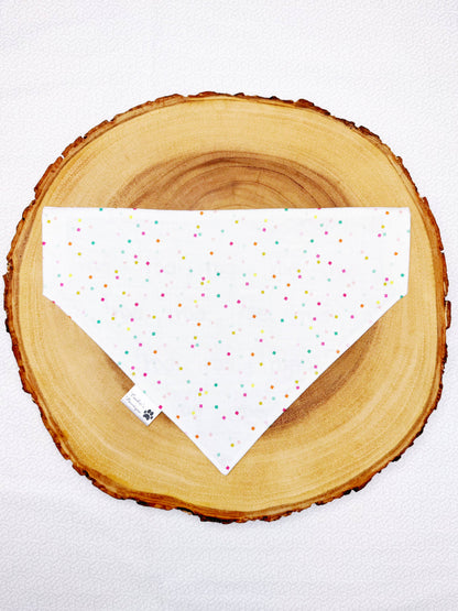 Birthday Boy Bandana - Teal