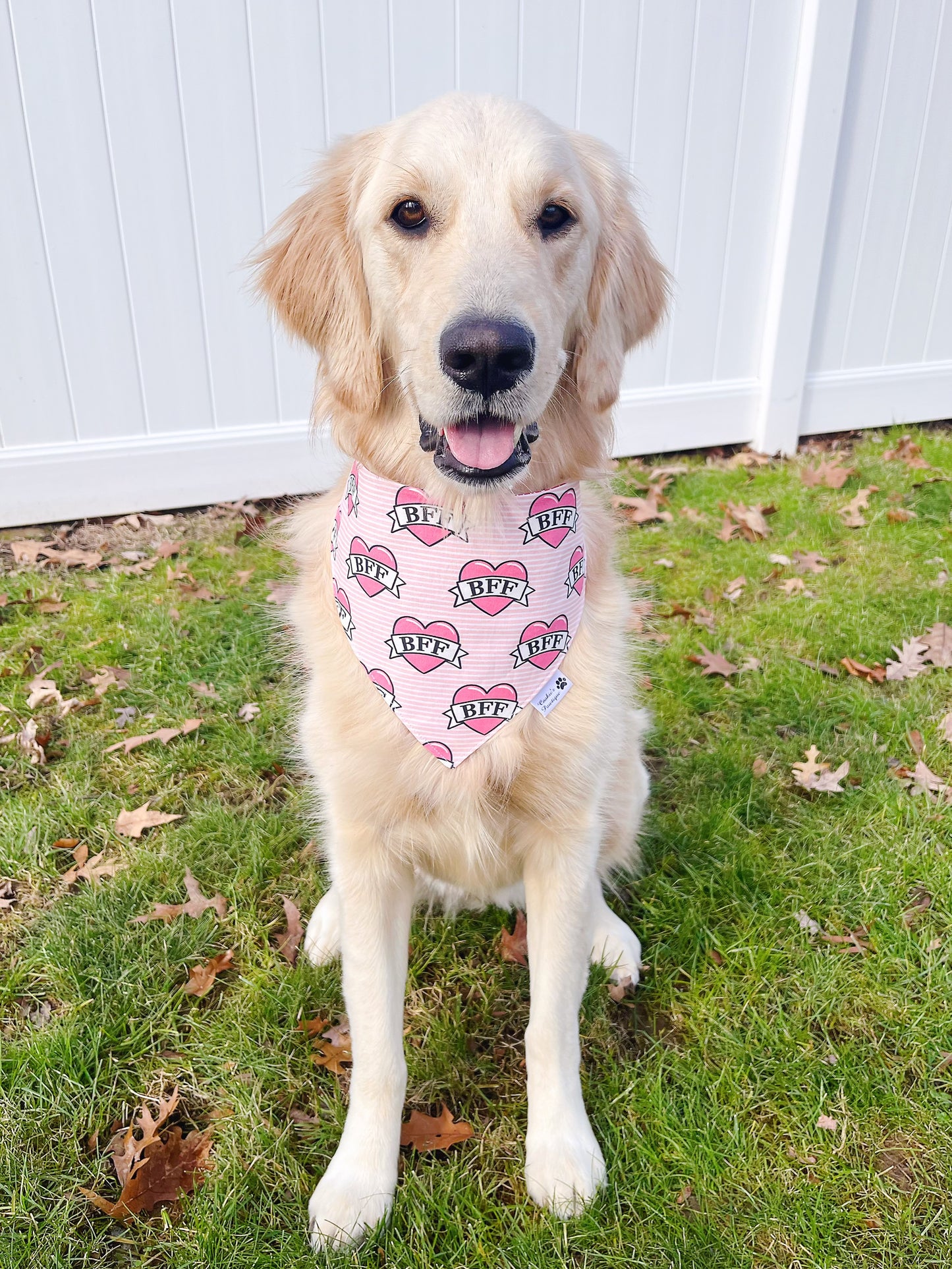 Best Friend Bandana - Pink