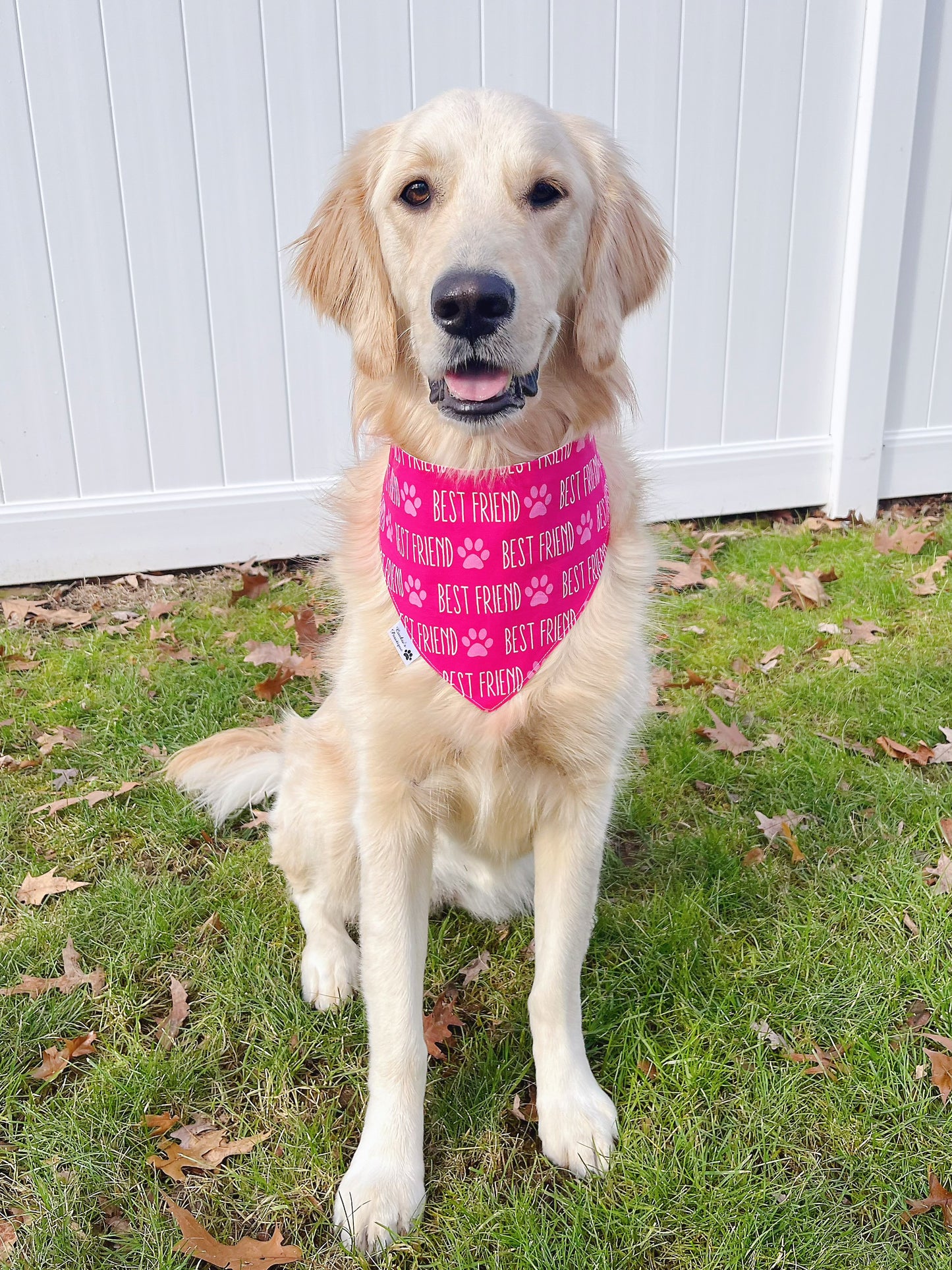 Best Friend Bandana - Pink