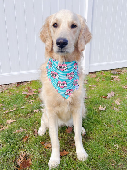 Best Friend Bandana - Blue