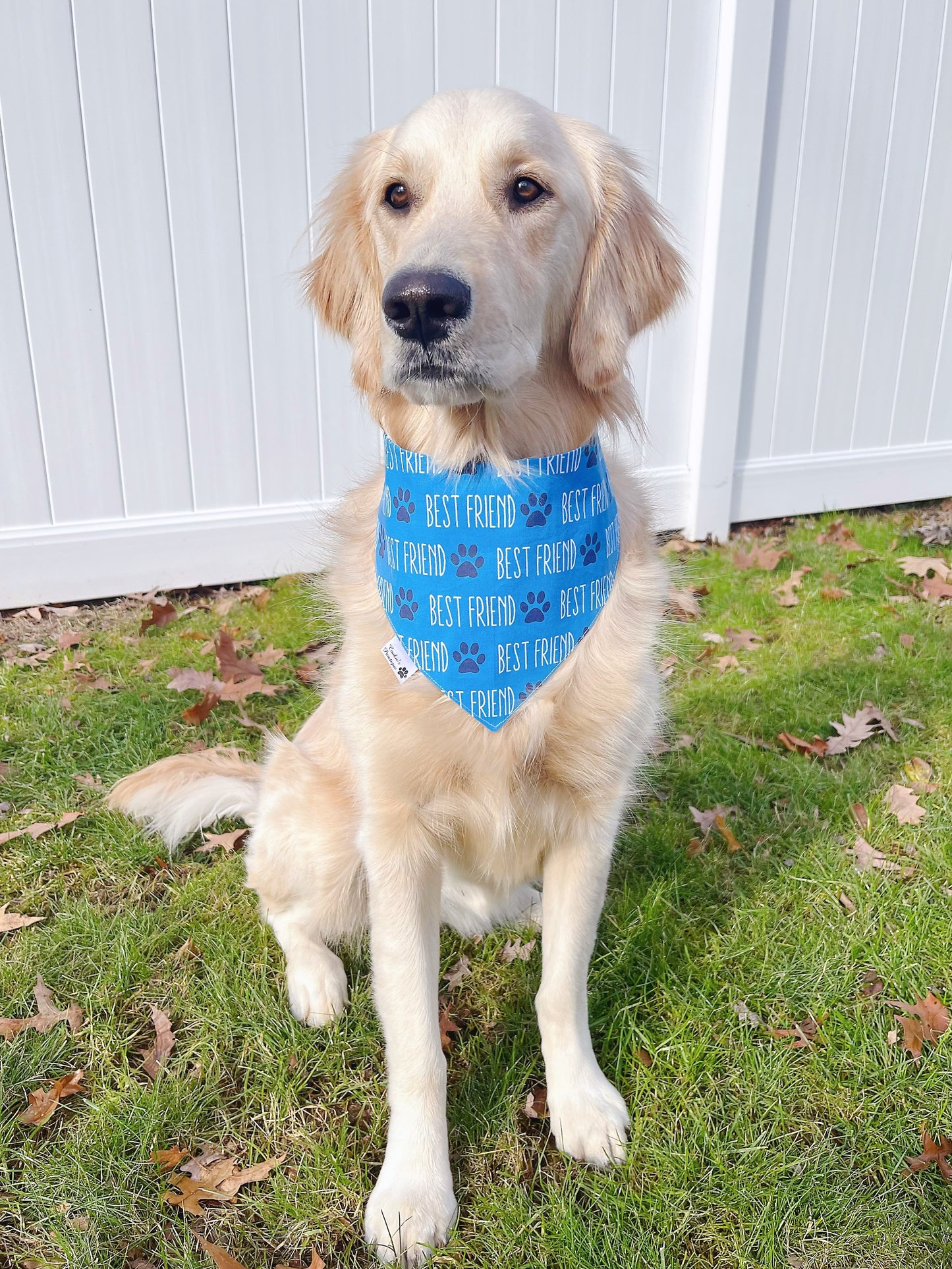 Best Friend Bandana - Blue