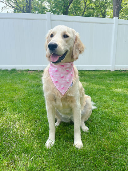 It's My Gotcha Day Bandana - Pink