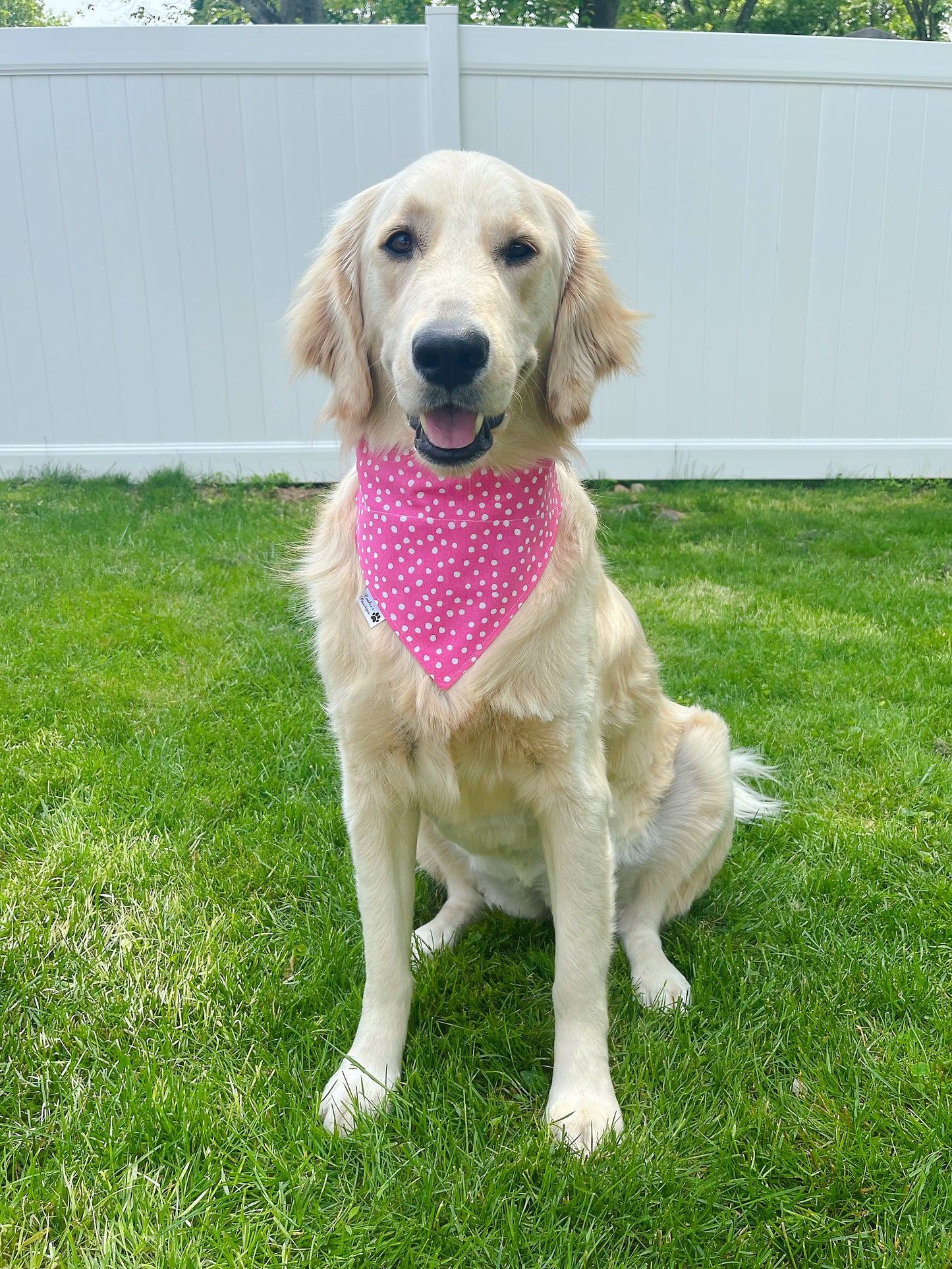 Birthday Girl Bandana - Light Pink