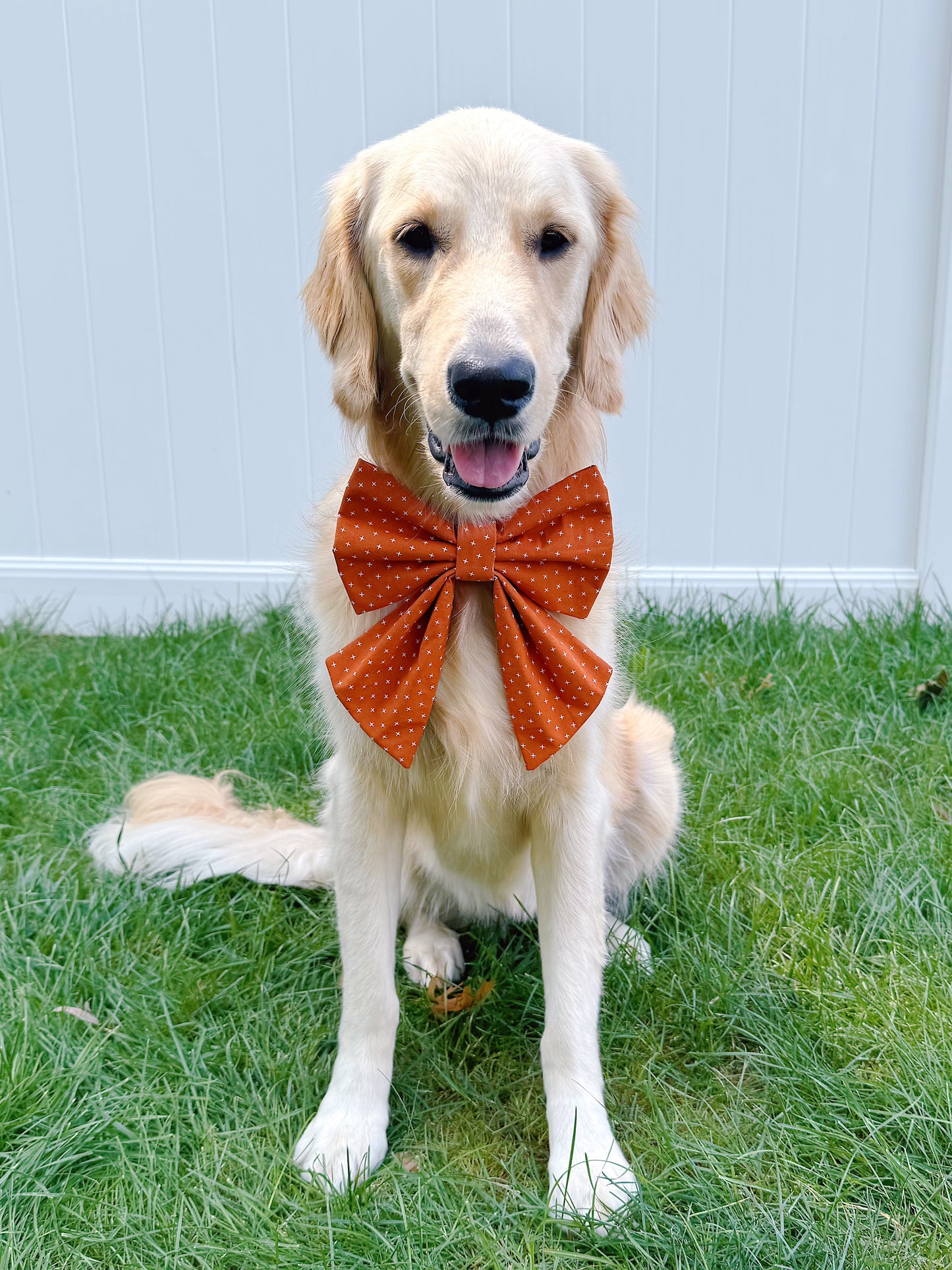 Orange Geometric Bow