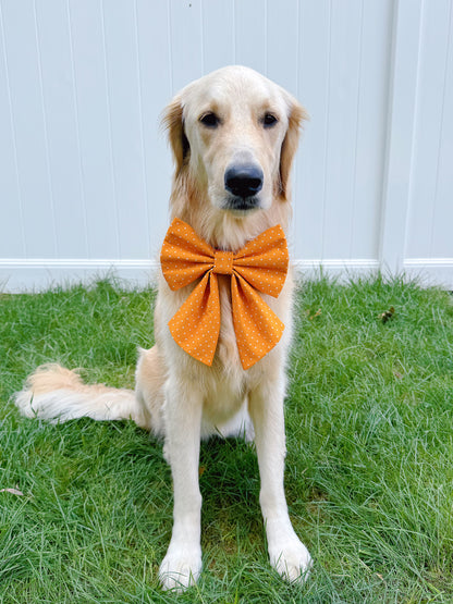 Orange Polka Pots Bow