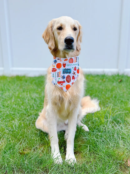 Fall Pumpkins And Blessings Bandana