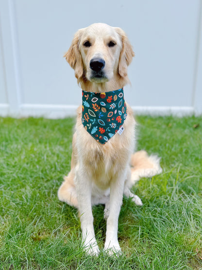 Fall Leaves And Acorns Bandana