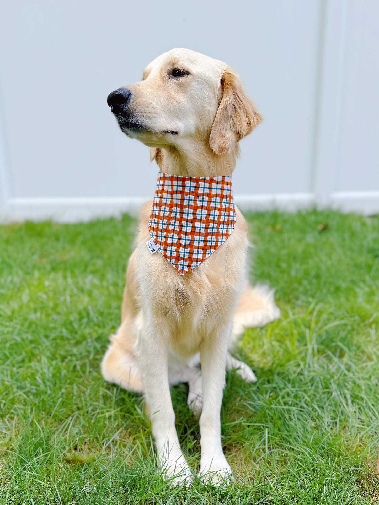 Fall Leaves And Acorns Bandana