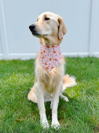 Groovy Football Bandana