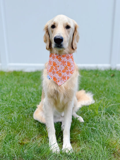 Groovy Football Bandana