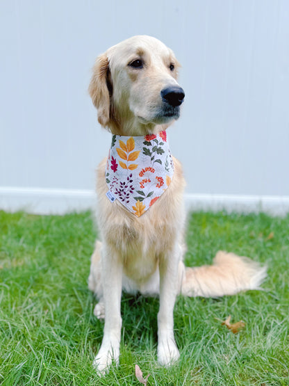 Fall Botanical Garden Bandana