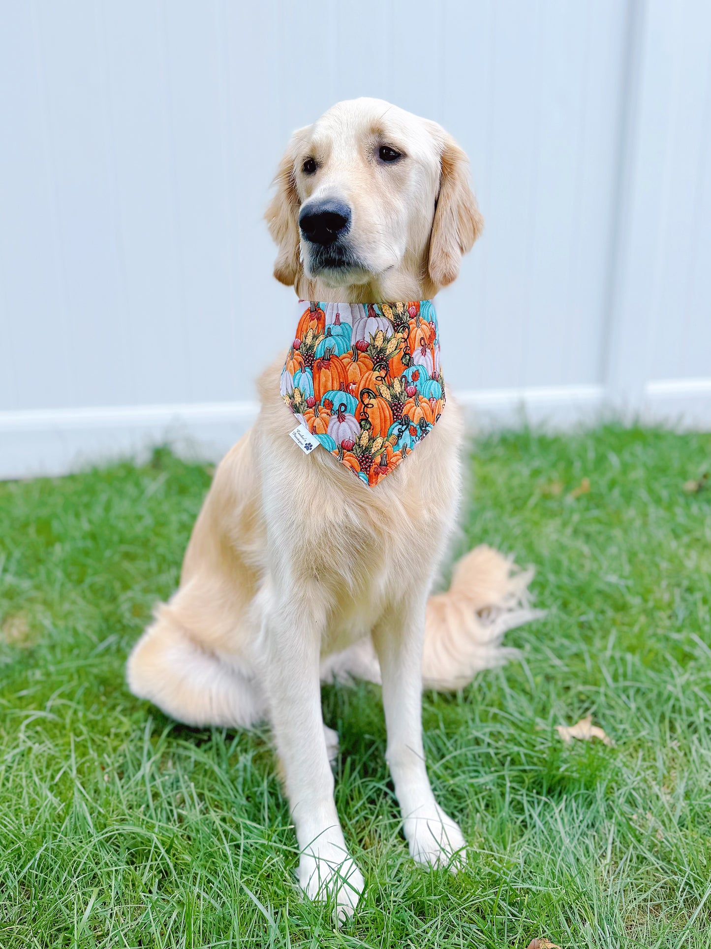 Happy Fall Bandana