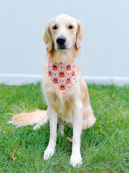 Pumpkin Cats Bandana