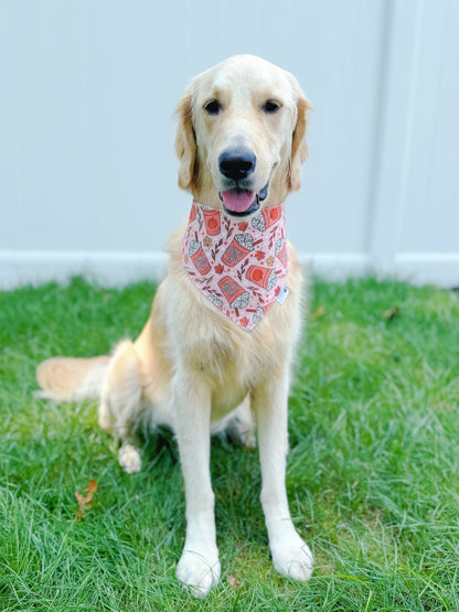 Pumpkin Spice and Everything Nice Bandana