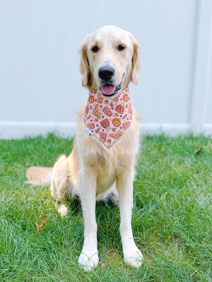 Pumpkin Spice and Everything Nice Bandana