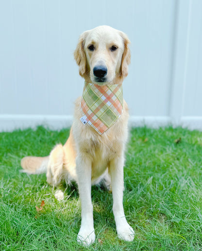 Corn Field Bandana