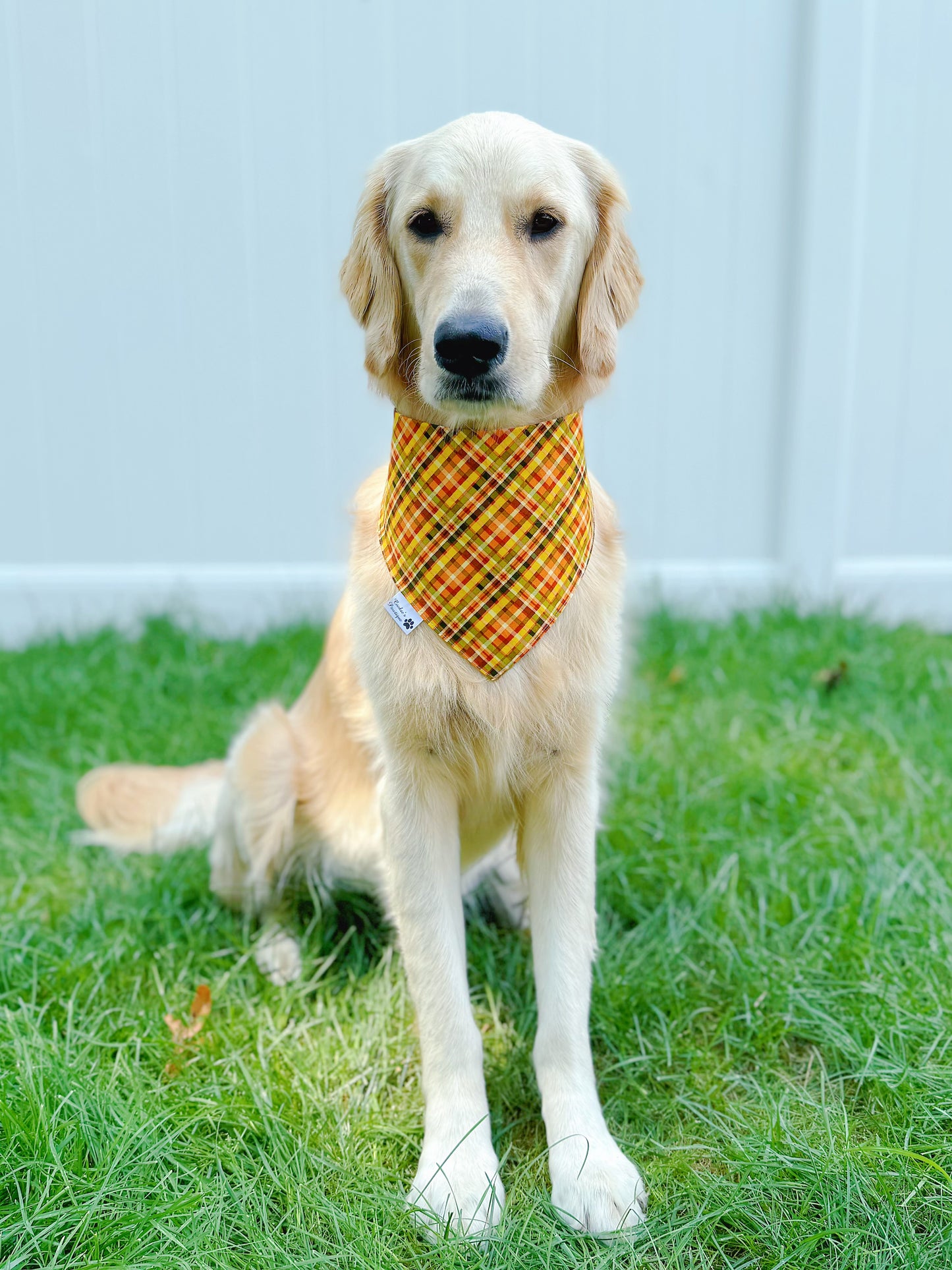 Cute Scarecrows And Fall Plaid Bandana