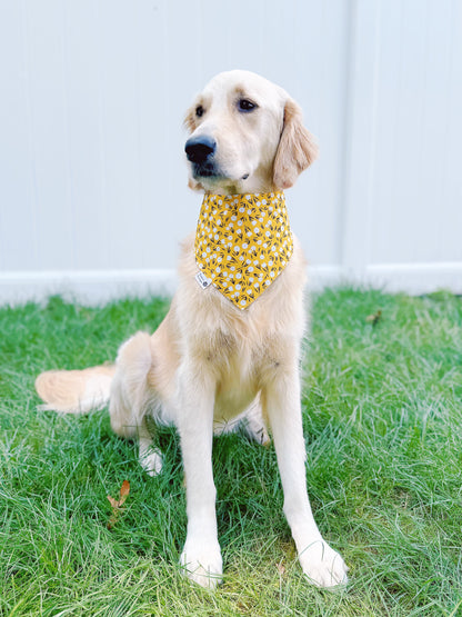 Fall Patchwork Bandana