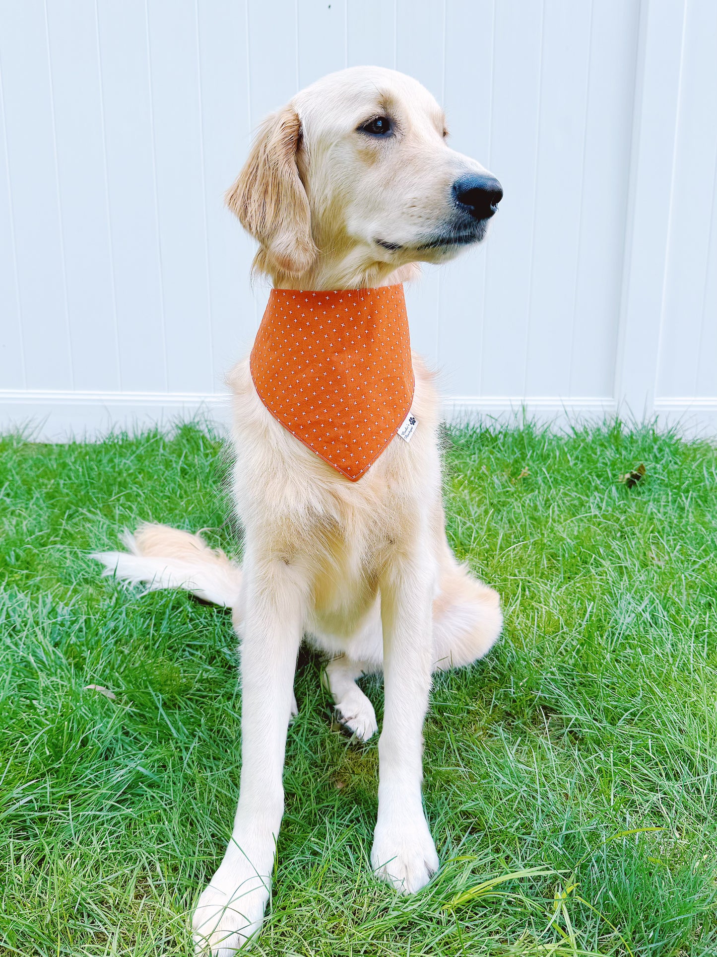 Orange Geometric And Plaid Bandana