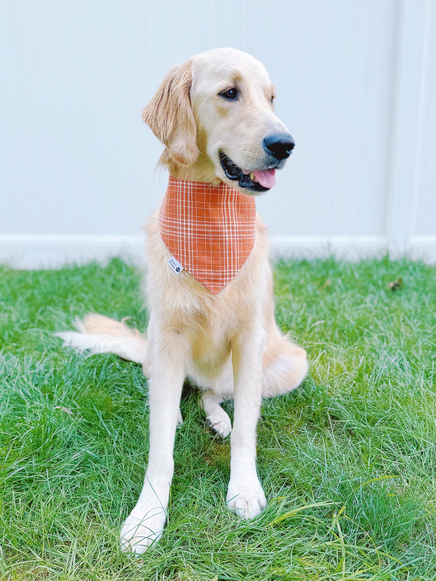 Orange Geometric And Plaid Bandana